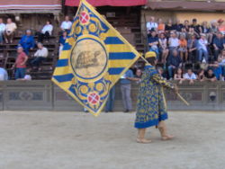 250px-palio_-_tartuca