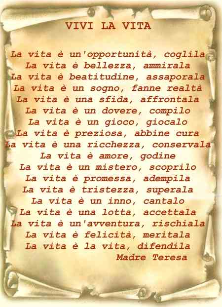 ViviVita_
