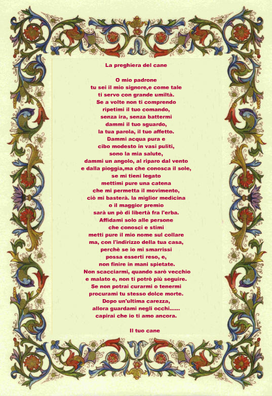 Preghiera Del Cane Suggerita Da Mary49 Postata Da Rosaria Incontriamoci